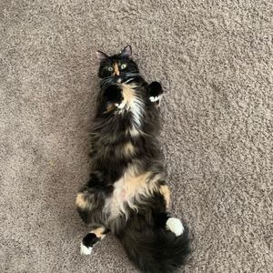 Meet your Posher, Karina